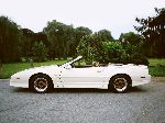  13  Pontiac Firebird  (4  1993 1997)