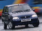   Rover 100  (1  1990 2000)