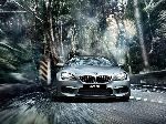  12  BMW 6 serie Gran Coupe  (F06/F12/F13 2010 2015)