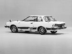  19  Nissan Silvia  (S110 1979 1985)